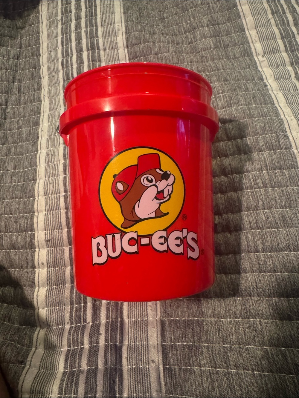 Buc-ees Mini Bucket - Picture 2 of 2